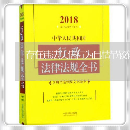 存在违法失信行为且情节较轻的