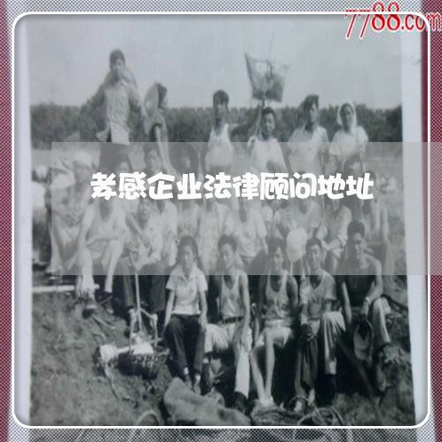 孝感企业法律顾问地址/2023061882714 孝感企业法律顾问地址/2023061882714