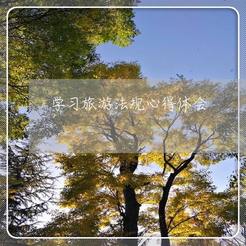 学习旅游法规心得体会