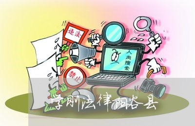 学刚法律阳谷县 学刚法律阳谷县