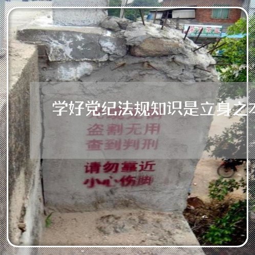 学好党纪法规知识是立身之本