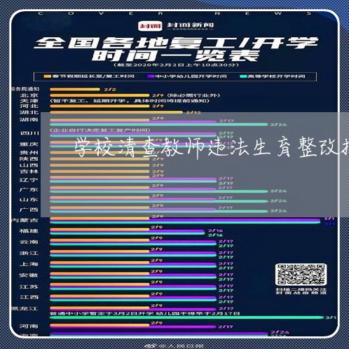学校清查教师违法生育整改报告