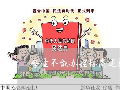 学生不能办理协商还款吗/2023070939593