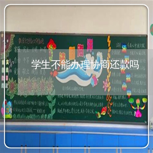 学生不能办理协商还款吗/2023110849561