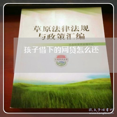 孩子借下的网贷怎么还/2023120828371