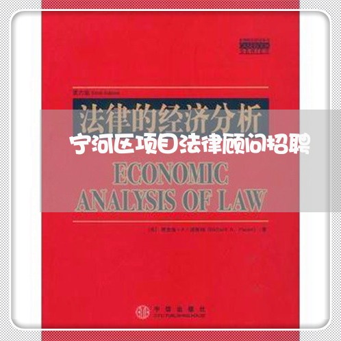 宁河区项目法律顾问招聘/2023061829162 宁河区项目法律顾问招聘/2023061829162