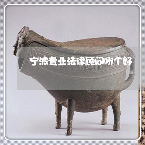 宁波专业法律顾问哪个好/2023061841692