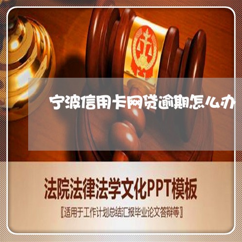 宁波信用卡网贷逾期怎么办/2023032451482