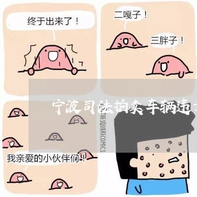 宁波司法拍卖车辆违章处理 宁波司法拍卖车辆违章处理