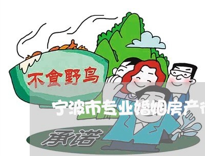 宁波市专业婚姻房产律师