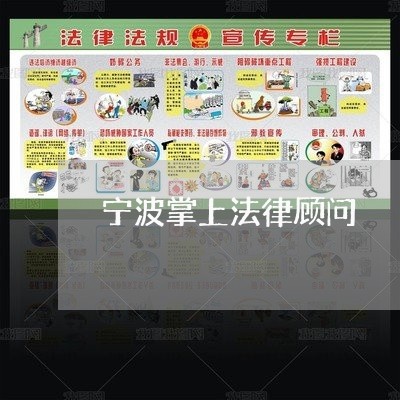 宁波掌上法律顾问/2023061759460