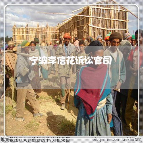宁波李信花诉讼官司