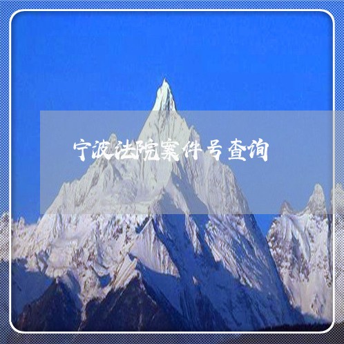 宁波法院案件号查询 宁波法院案件号查询