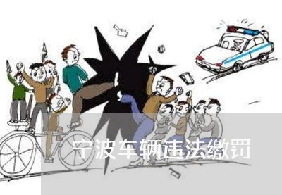 宁波车辆违法缴罚