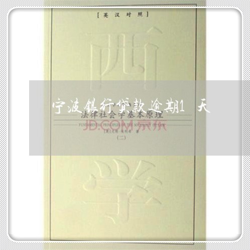 宁波银行贷款逾期1天