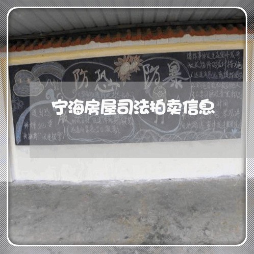 宁海房屋司法拍卖信息 宁海房屋司法拍卖信息