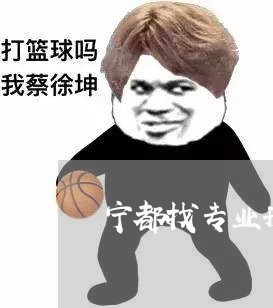 宁都找专业刑事律师怎么收费