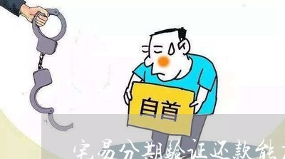 宅易分期验证还款能力