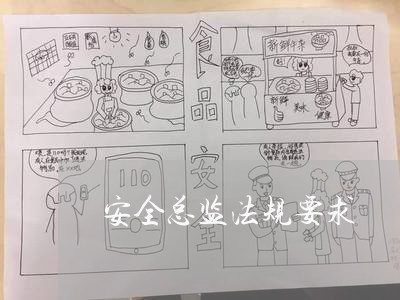 安全总监法规要求