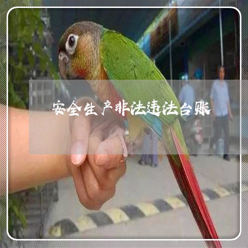 安全生产非法违法台账 安全生产非法违法台账