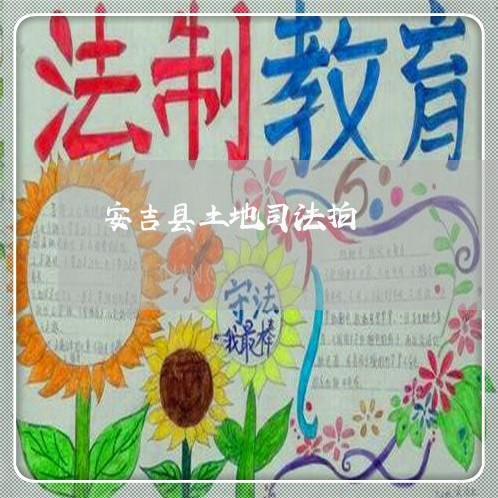 安吉县土地司法拍