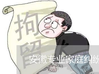 安徽专业家庭纠纷律师哪家好