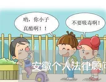 安徽个人法律顾问公司/2023061882604