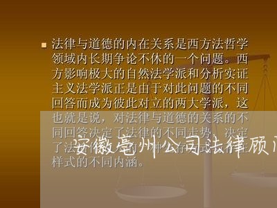 安徽亳州公司法律顾问 安徽亳州公司法律顾问