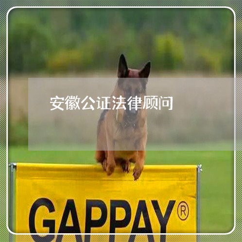 安徽公证法律顾问 安徽公证法律顾问