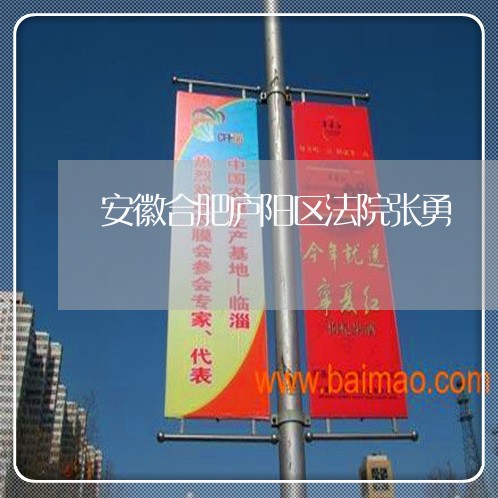 安徽合肥庐阳区法院张勇 安徽合肥庐阳区法院张勇