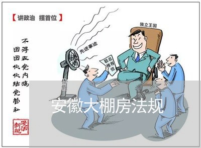安徽大棚房法规