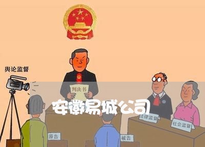 安徽易城公司 安徽易城公司