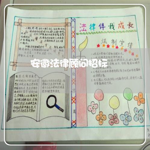 安徽法律顾问招标/2023061714048
