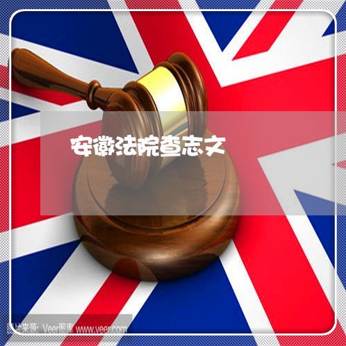 安徽法院查志文