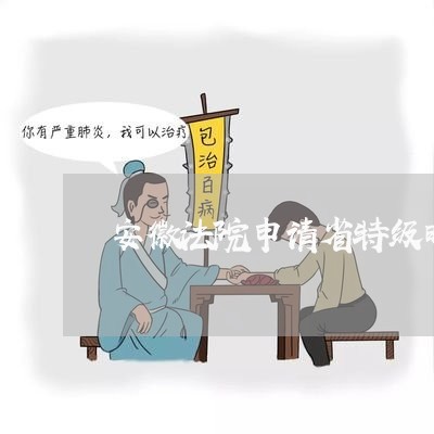 安徽法院申请省特级时间