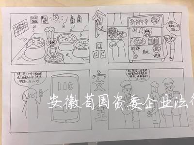 安徽省国资委企业法律顾问