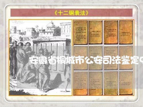 安徽省桐城市公安司法鉴定中心 安徽省桐城市公安司法鉴定中心