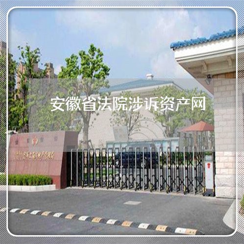 安徽省法院涉诉资产网