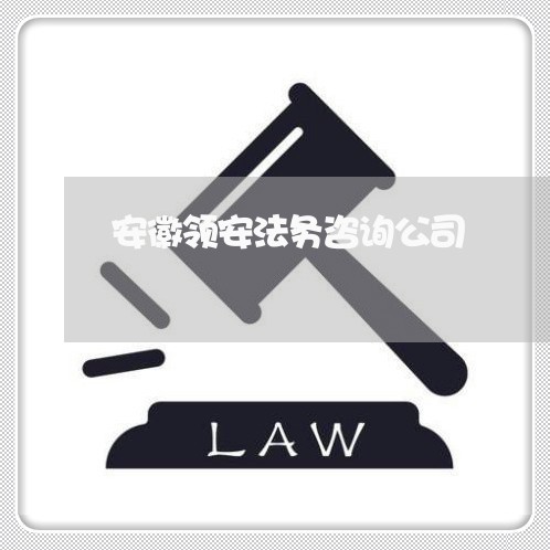 安徽领安法务咨询公司 安徽领安法务咨询公司