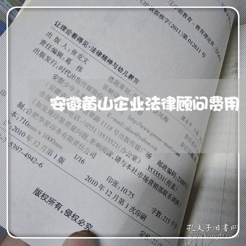 安徽黄山企业法律顾问费用 安徽黄山企业法律顾问费用