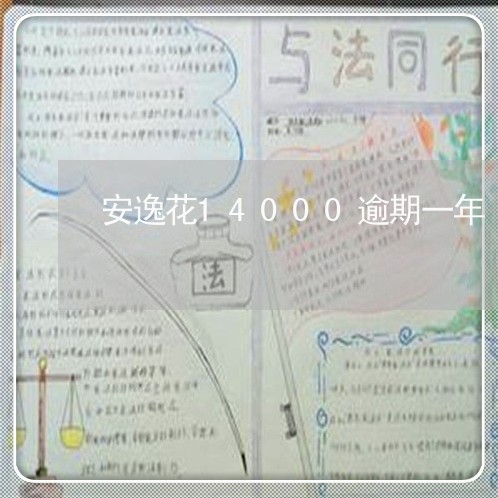 安逸花14000逾期一年 安逸花14000逾期一年