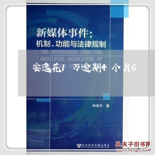 安逸花1万逾期4个月6/2023061940261