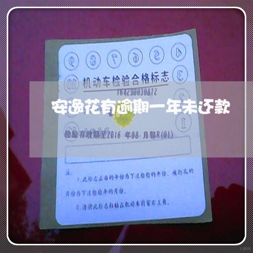安逸花有逾期一年未还款 安逸花有逾期一年未还款