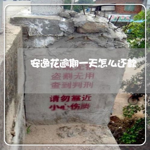 安逸花逾期一天怎么还款