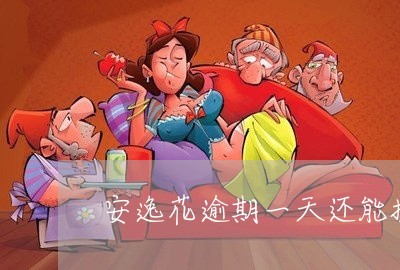 安逸花逾期一天还能提现吗/2023061091925