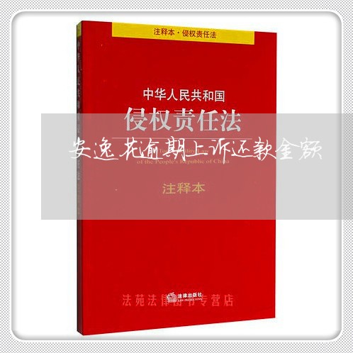 安逸花逾期上诉还款金额
