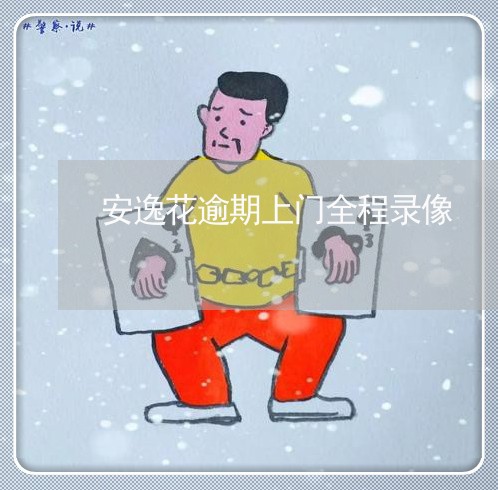 安逸花逾期上门全程录像/2023061991582