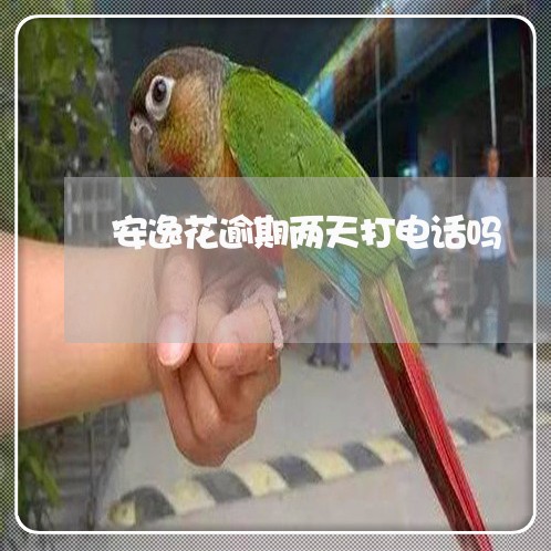 安逸花逾期两天打电话吗 安逸花逾期两天打电话吗