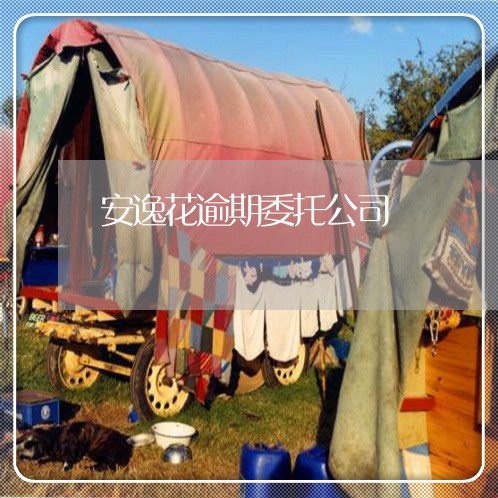 安逸花逾期委托公司 安逸花逾期委托公司