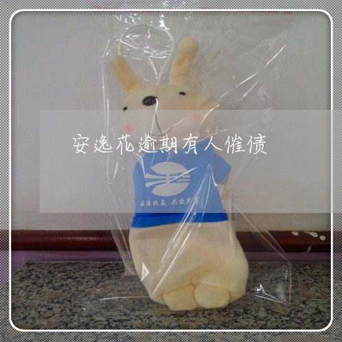 安逸花逾期有人催债 安逸花逾期有人催债
